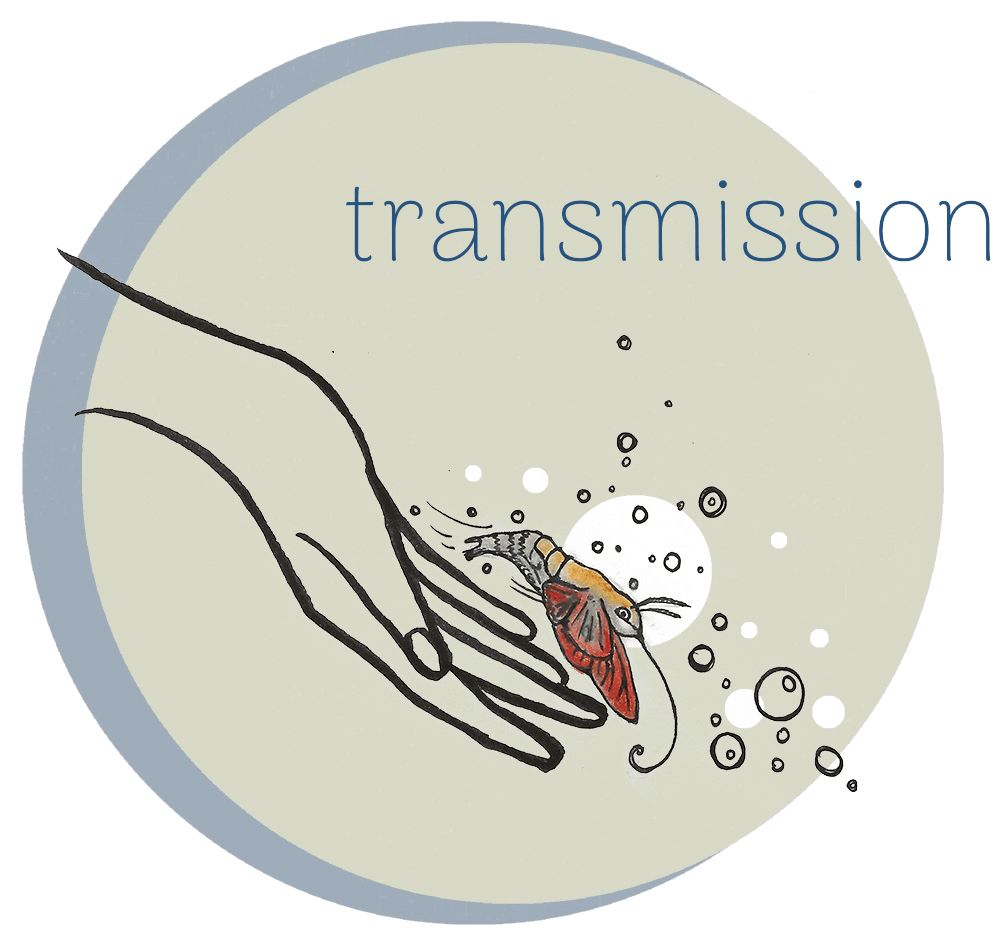 Transmission drawing
